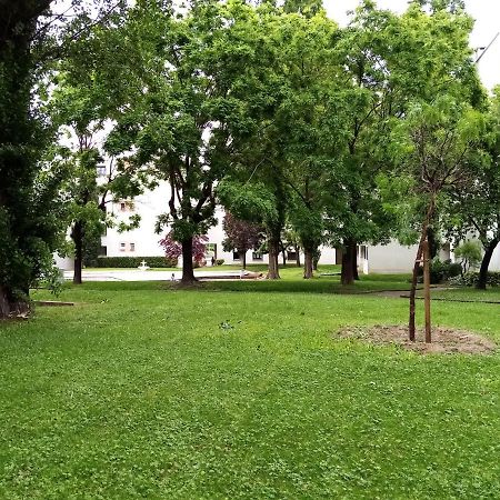 Chambre Double Rosalie En Colocation Montpellier Exteriör bild